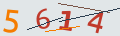 verifycode